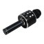 Karaoke mikrofon Eljet Globe Black
