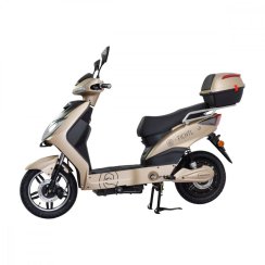 Elektroskútr RACCEWAY® E-FICHTL®, sv.zlatý-matný s baterií 20Ah