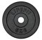 Kotouč LIFEFIT® 5kg, kovový, pro 30mm tyč