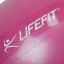 Gymnastický míč LIFEFIT® ANTI-BURST 55 cm, bordó