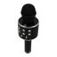 Karaoke mikrofon Eljet Globe Black