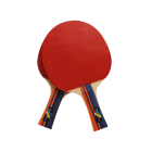 Pálky na stolní tenis