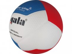 Volejbalový míč GALA Pro Line - BV 5595 S