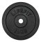 Kotouč LIFEFIT® 10kg, kovový, pro 30mm tyč