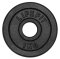Kotouč LIFEFIT® 1,0kg, kovový, pro 30mm tyč