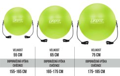 Gymnastický míč s expanderem LIFEFIT® GYMBALL EXPAND 55 cm