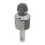 Karaoke mikrofon Eljet Globe Silver
