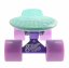 Penny board 22" SULOV® PASTEL mentol-nach