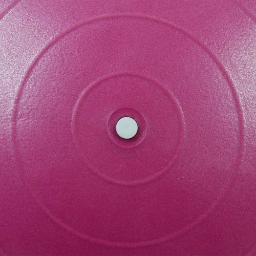 Gymnastický míč LIFEFIT® ANTI-BURST 55 cm, bordó