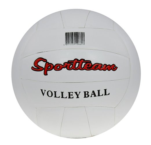 Volejbalový míč SPORTTEAM®, bílá