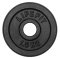 Kotouč LIFEFIT® 1,5kg, kovový, pro 30mm tyč