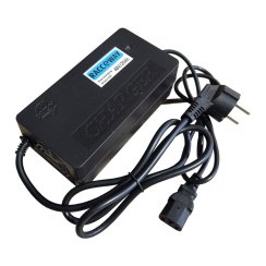 Nabíječka na olověné baterie RACCEWAY® 48V 20AH