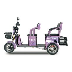 Elektrický dvousedadlový vozík RACCEWAY® E-BUS, fialový
