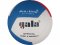 Volejbalový míč GALA Pro Line - BV 5595 S